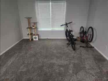 Looking for a roommate