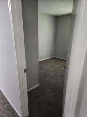Looking for a roommate