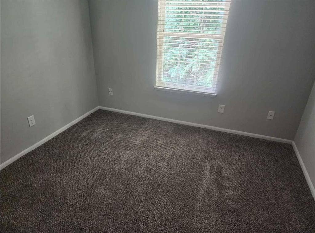 Looking for a roommate