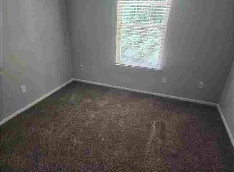 Looking for a roommate
