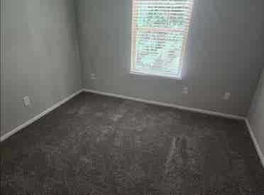 Looking for a roommate
