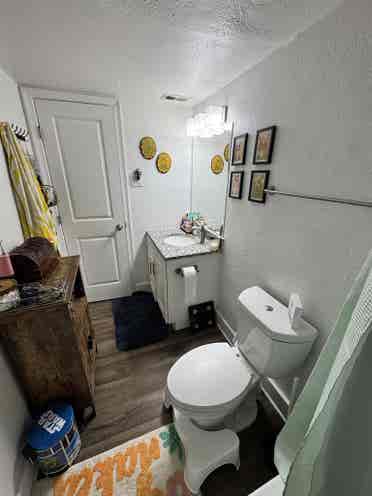 Couple Looking For Roommatees