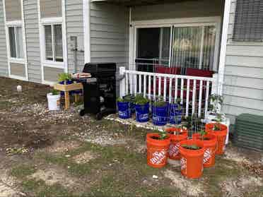 Couple Looking For Roommatees