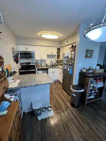 Couple Looking For Roommatees