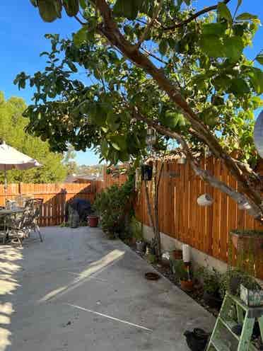 Room for rent is two bedroom