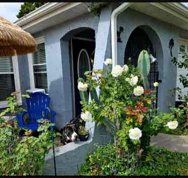 Room for Rent, Port Richey Florida