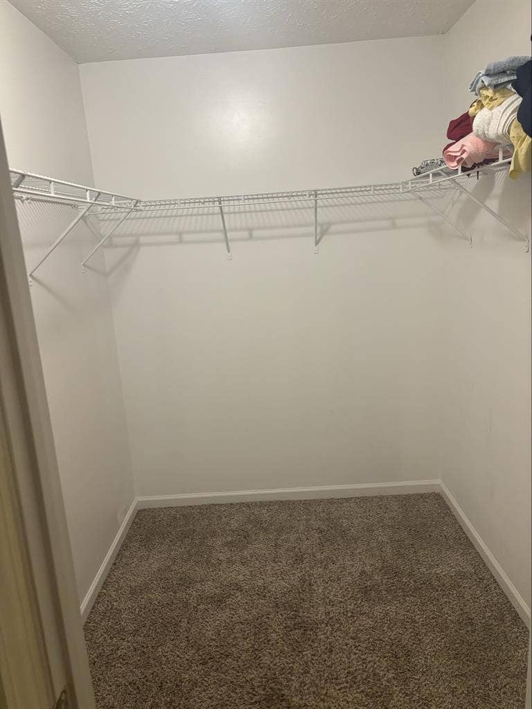 Room available for immediate move