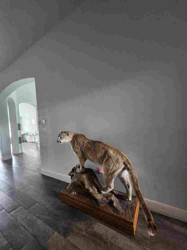 Welcome to my spacious retreat