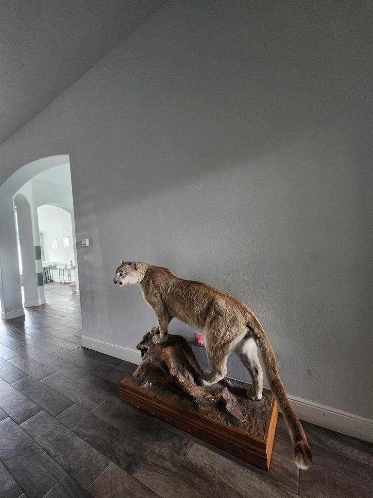 Welcome to my spacious retreat