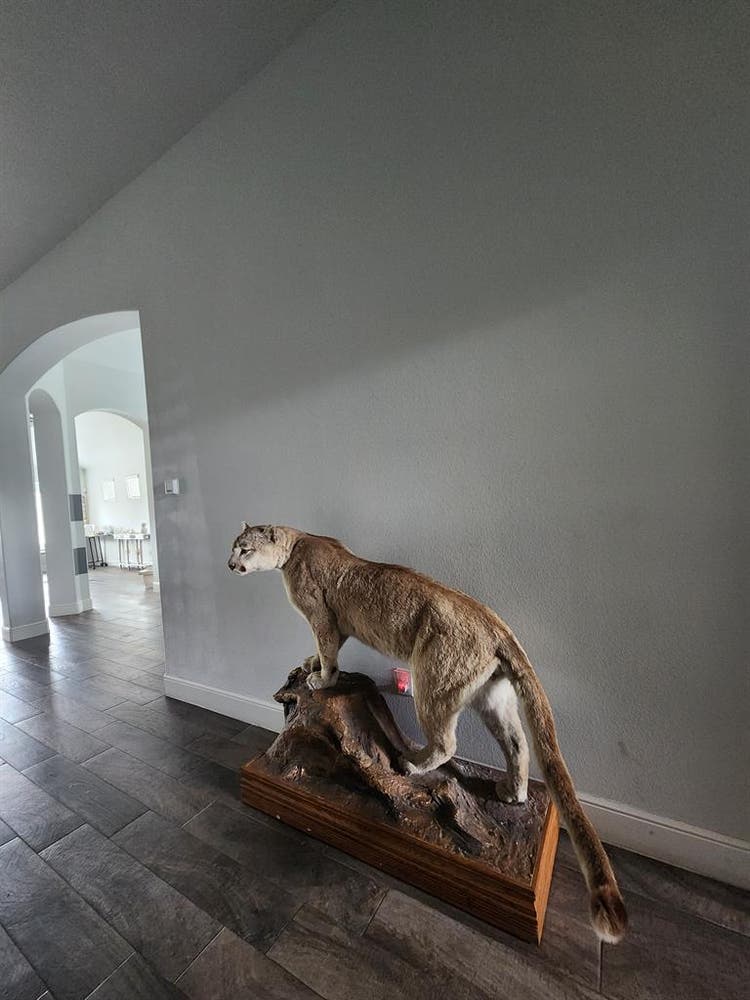 Welcome to my spacious retreat