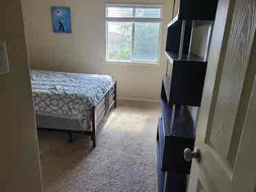 Up to 3 bedrooms available in Kyle