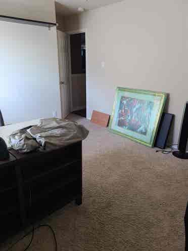 Up to 3 bedrooms available in Kyle