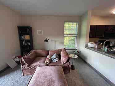 Cozy spacious b apartment