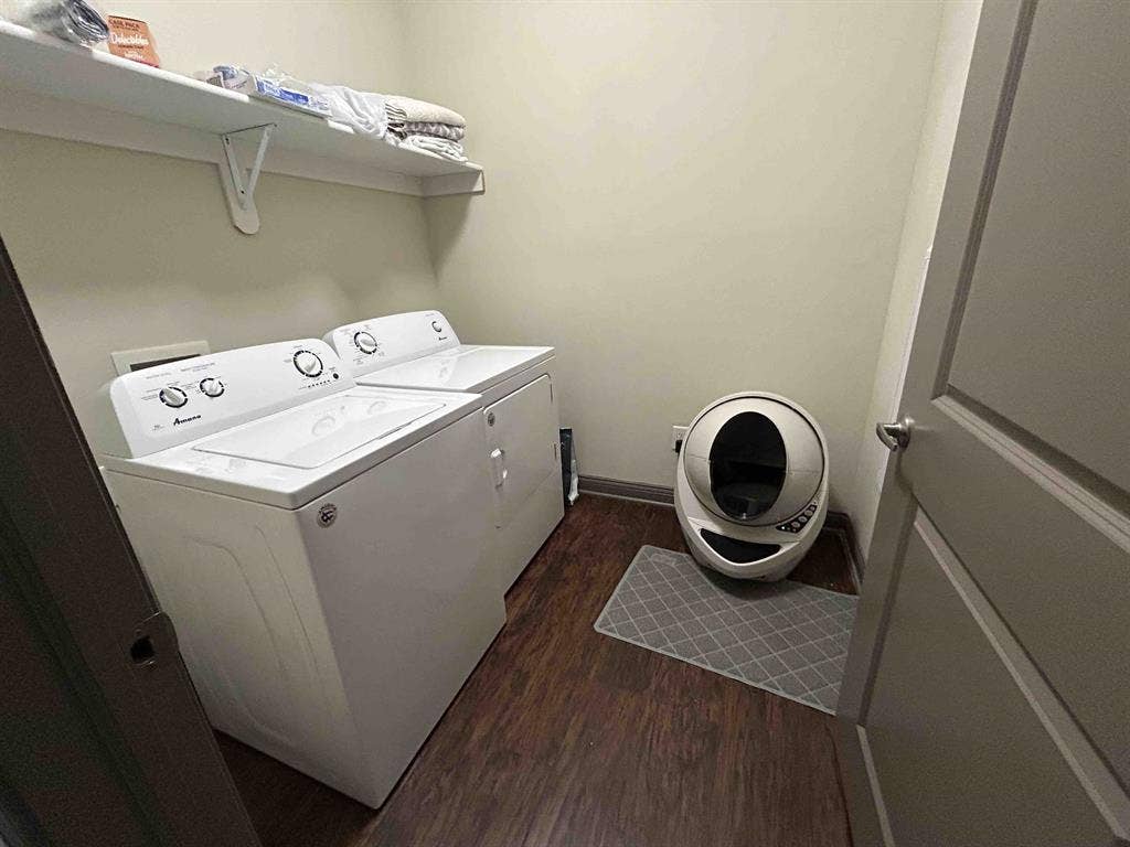 Cozy spacious b apartment