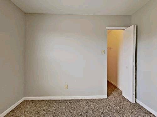 Spacious Room for Rent