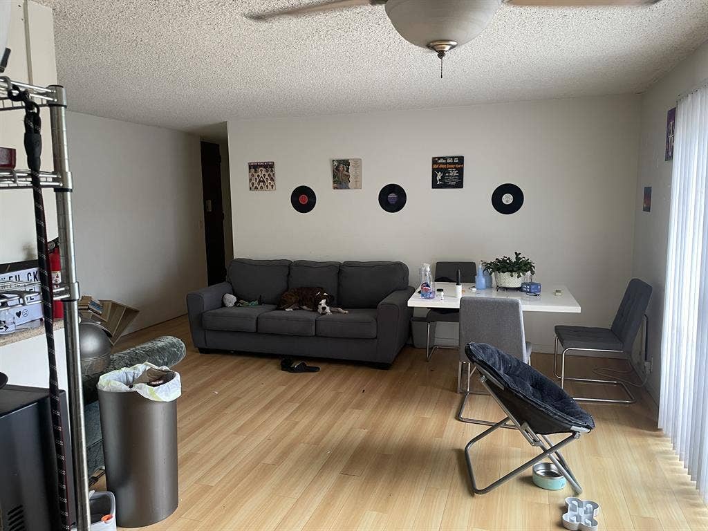 Roommate Needed in 2 Bedroom Apt