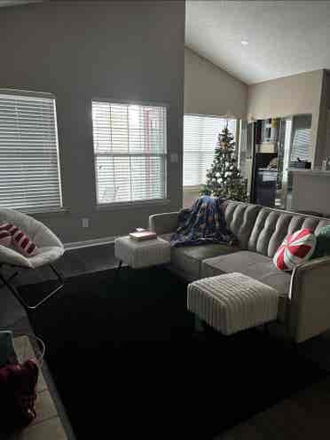 Roommate Needed