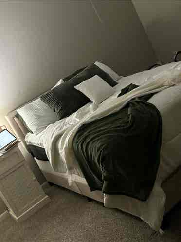 Roommate Needed