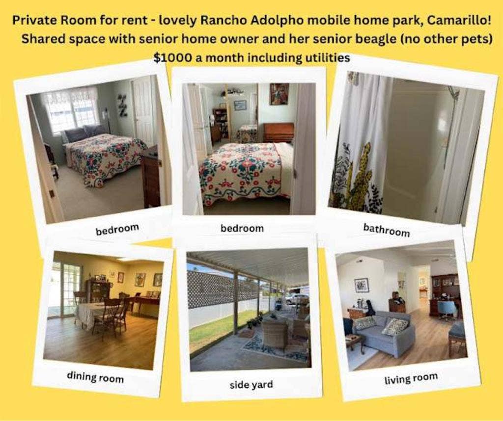 Private room/bath w/ pool, parking