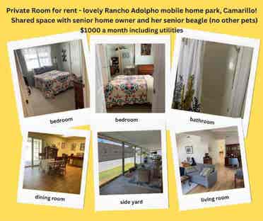 Private room/bath w/ pool, parking