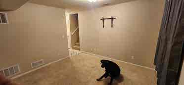 Room for Rent in W. Millard Area