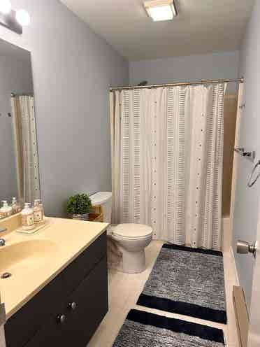 Private room and bathroom for rent