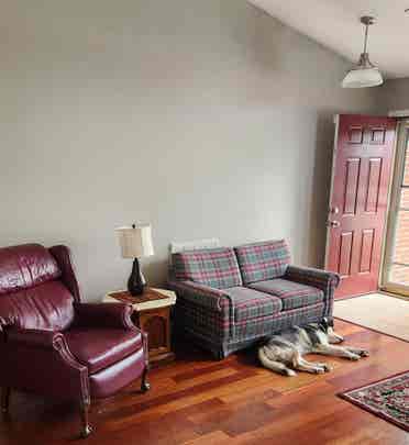 Roommate wanted