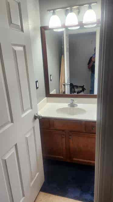 Roommate wanted