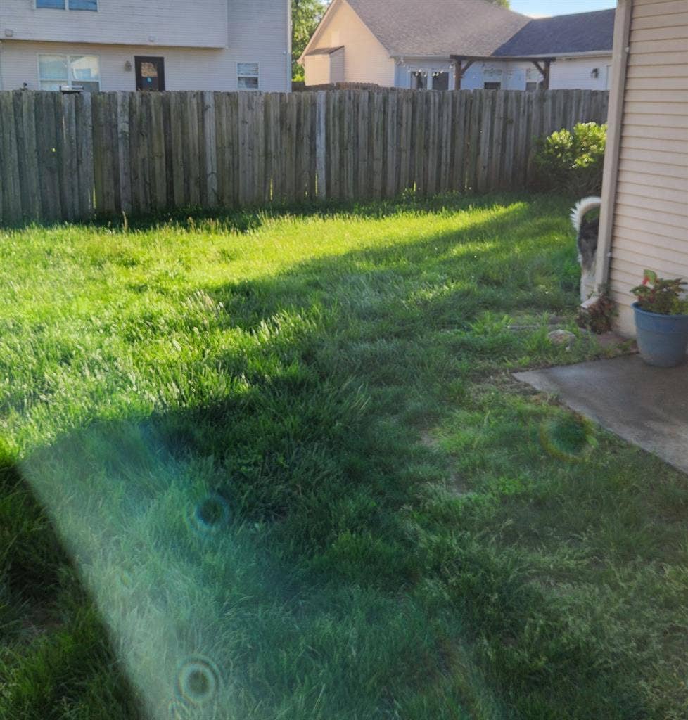Roommate wanted