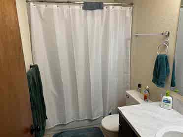 Roommate Needed for August 1st!