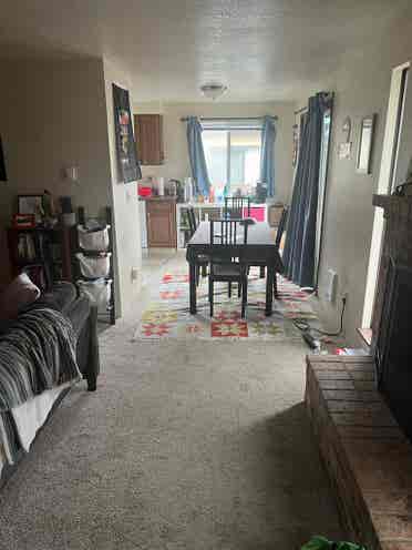 Roommate Needed for August 1st!