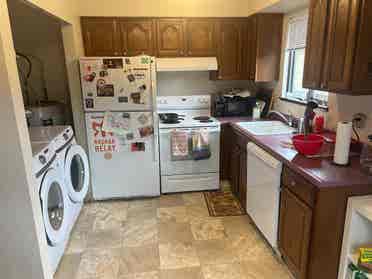 Roommate Needed for August 1st!