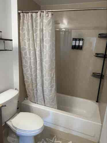 Private room in downtown Miami