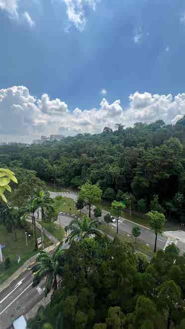 , Telok Blangah Heights