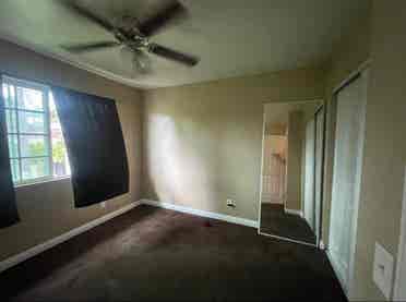 Looking for roommate starting Aug 1