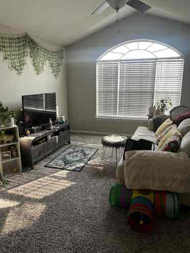 Private bedroom/bath for rent