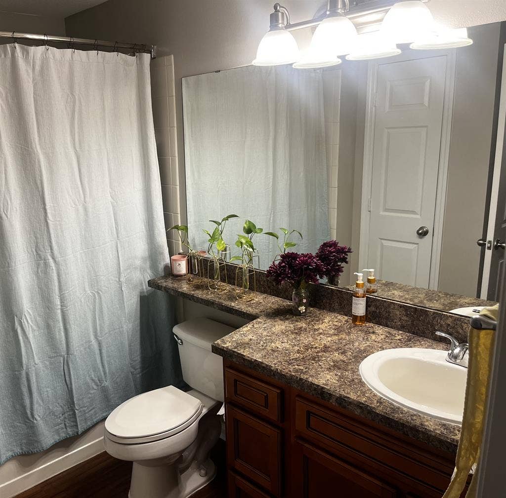 Private bedroom/bath for rent