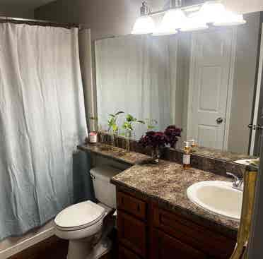 Private bedroom/bath for rent