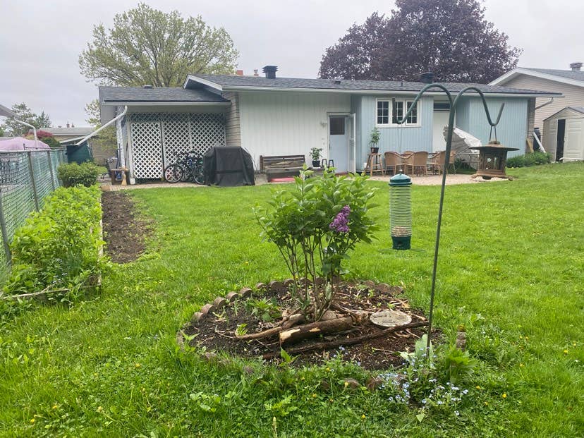 Full furnished separate unit (rent)