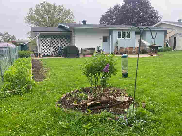 Full furnished separate unit (rent)
