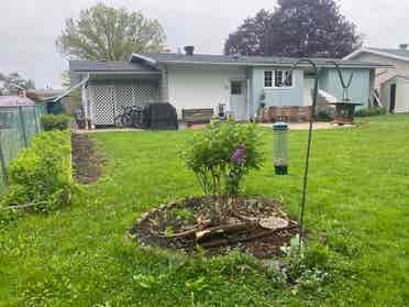 Full furnished separate unit (rent)