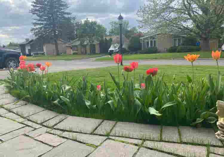 Full furnished separate unit (rent)