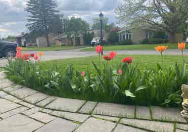 Full furnished separate unit (rent)
