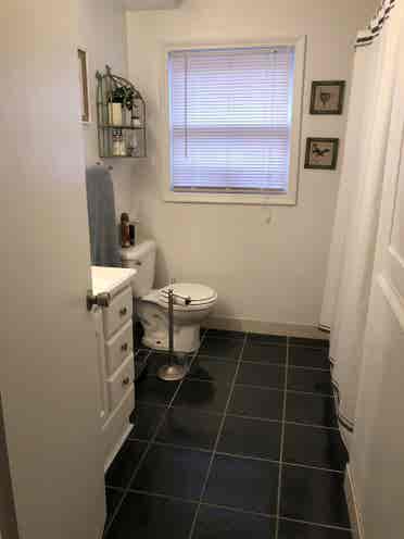 Roommate needed