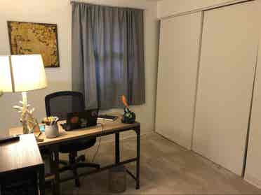 Roommate needed
