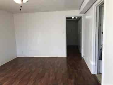 Roommate needed