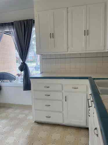 Roommate needed