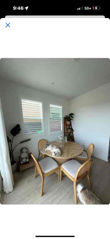 Room available for rent in RMV