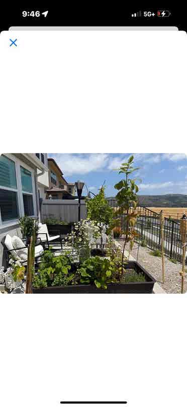 Room available for rent in RMV