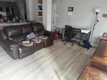 Looking for roommate +utls